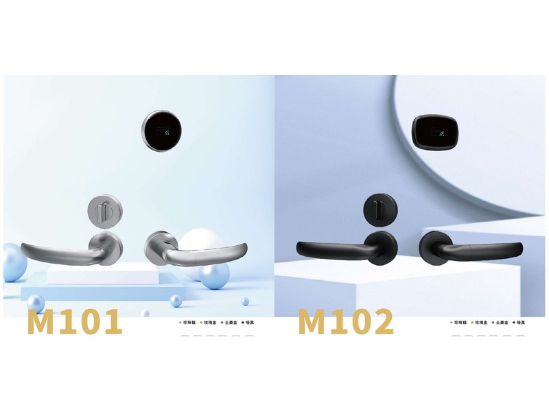 M101