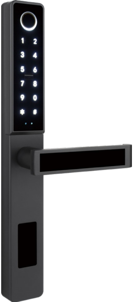 LS-C81